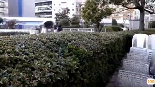 【水果派】夫债妻偿丨爱情×金钱×网赌（下）